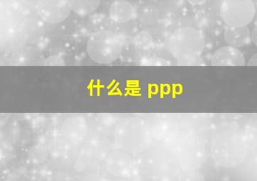 什么是 ppp